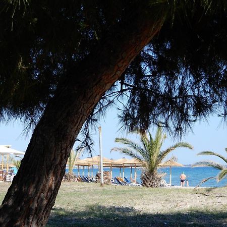 Sunshine Apartment Paralia Dionysiou Exteriör bild
