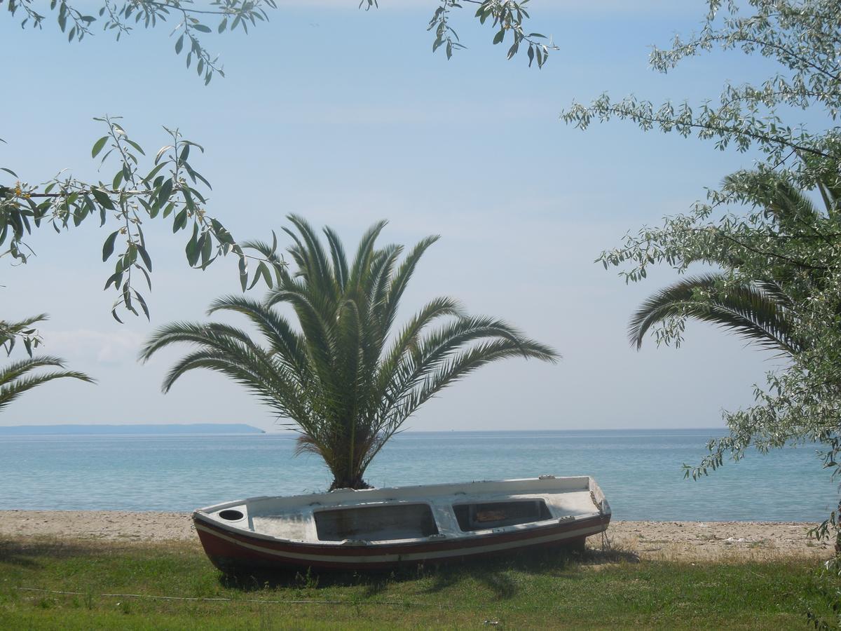 Sunshine Apartment Paralia Dionysiou Exteriör bild