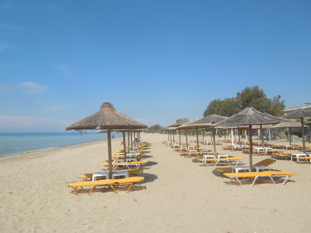 Sunshine Apartment Paralia Dionysiou Exteriör bild