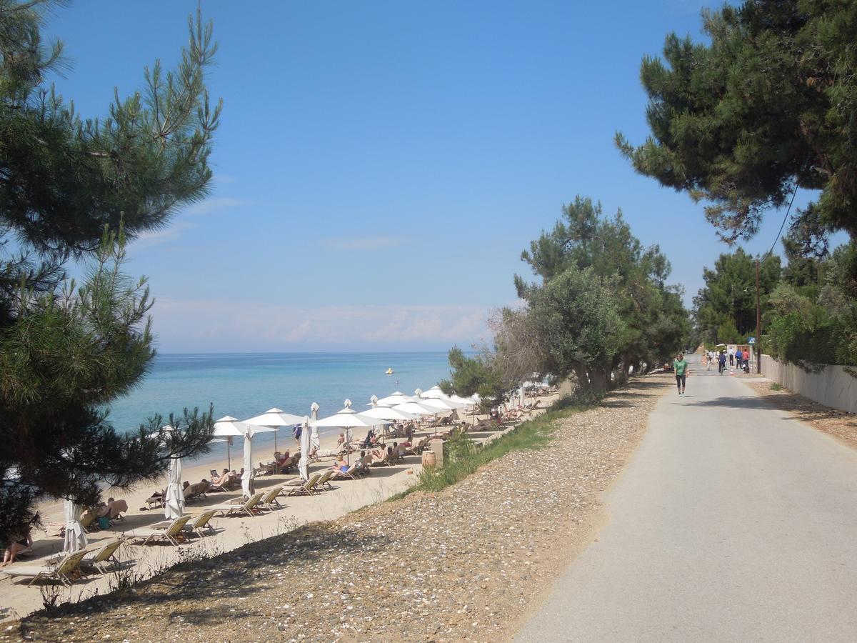 Sunshine Apartment Paralia Dionysiou Exteriör bild