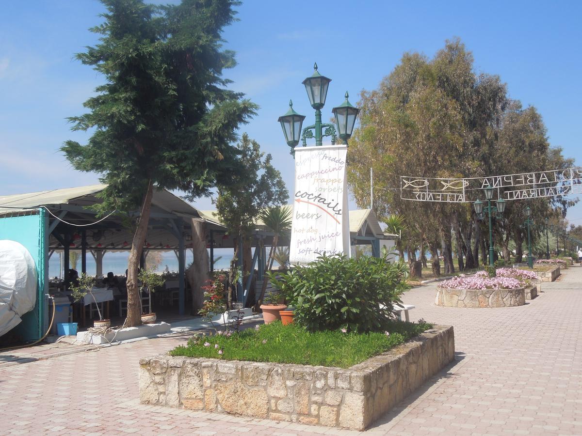 Sunshine Apartment Paralia Dionysiou Exteriör bild