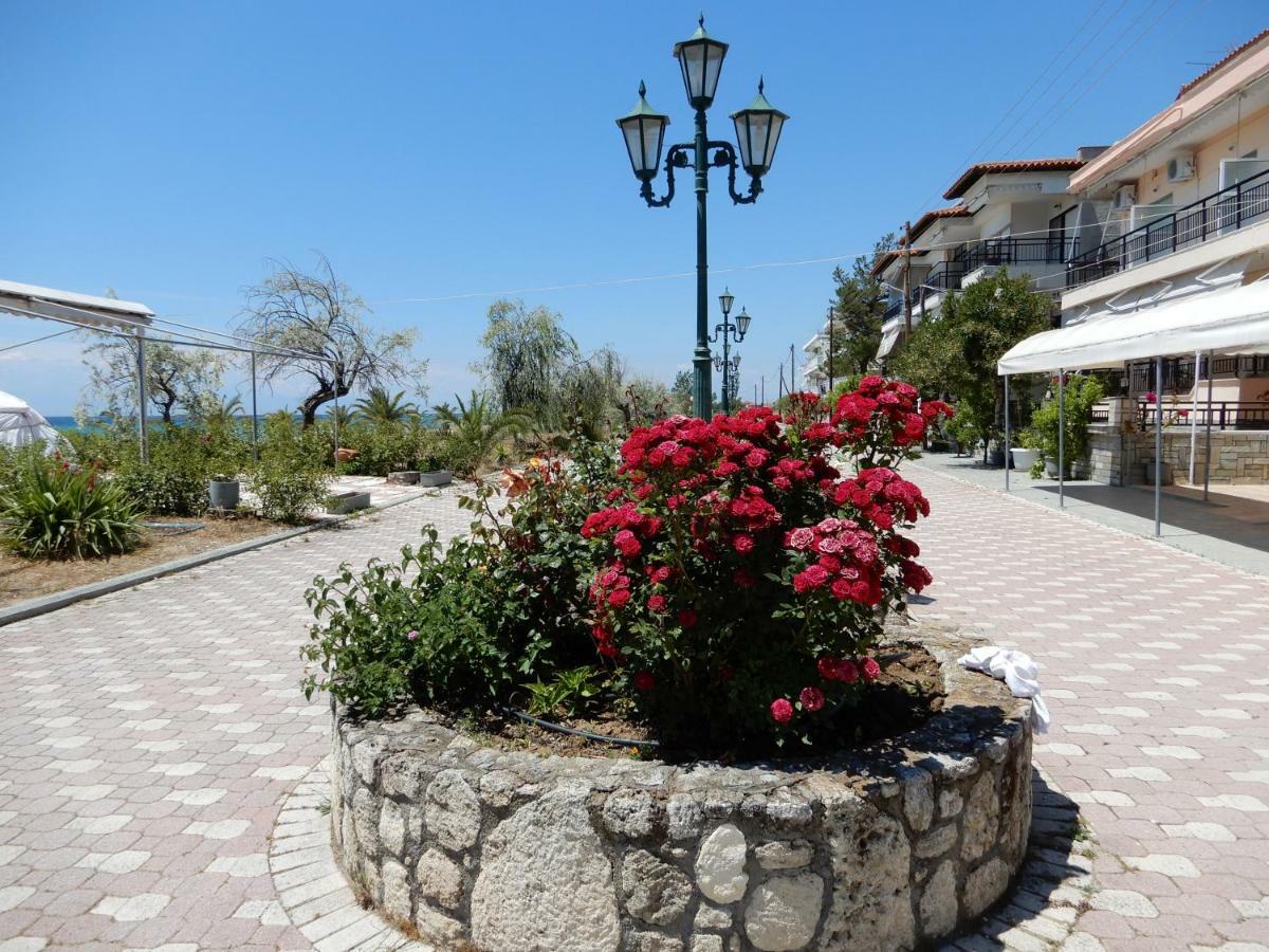 Sunshine Apartment Paralia Dionysiou Exteriör bild
